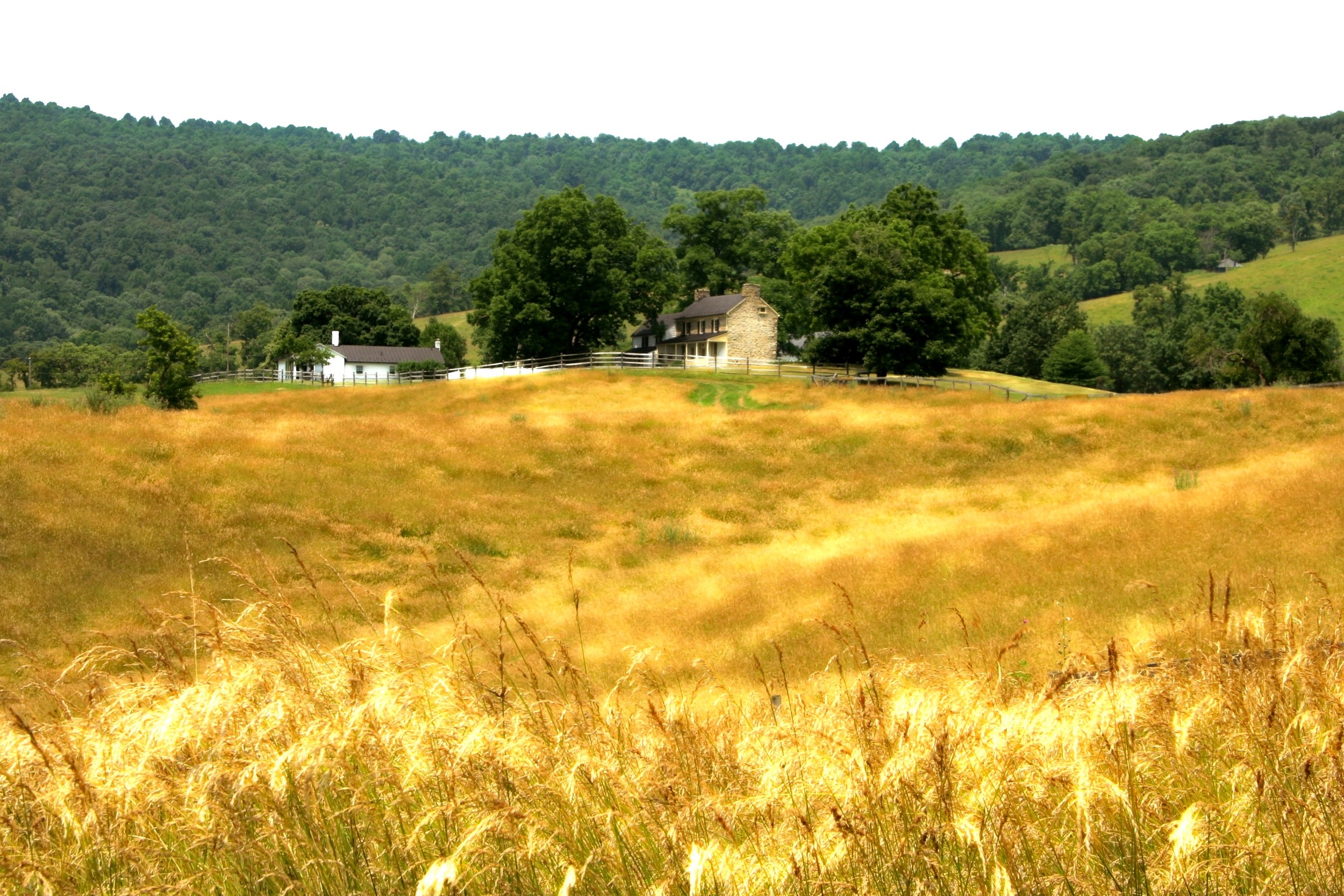  A windy summer day looking toward Mount Bleak, Fauquier County. 