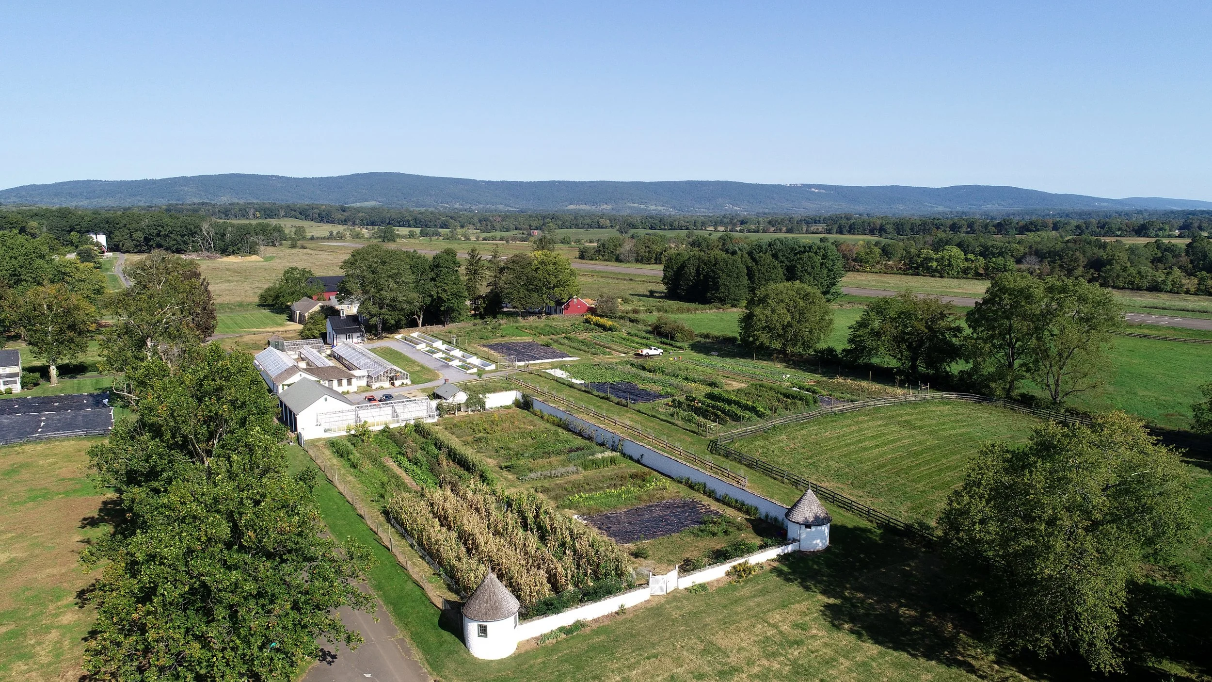 Rokeby Farm A History of the Famous Landscape and Prized Racehorse
