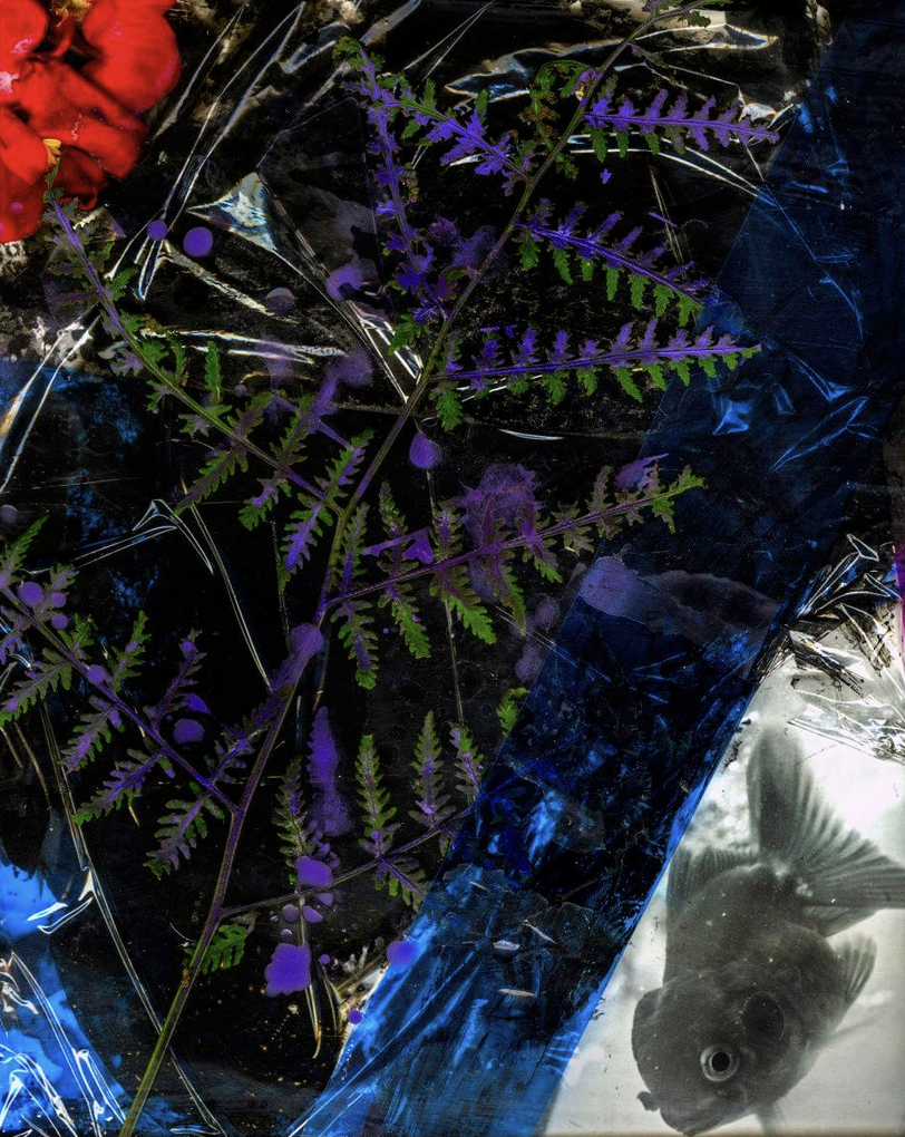 Screenshot 2026-05-06 at 8.56.33 PM.png