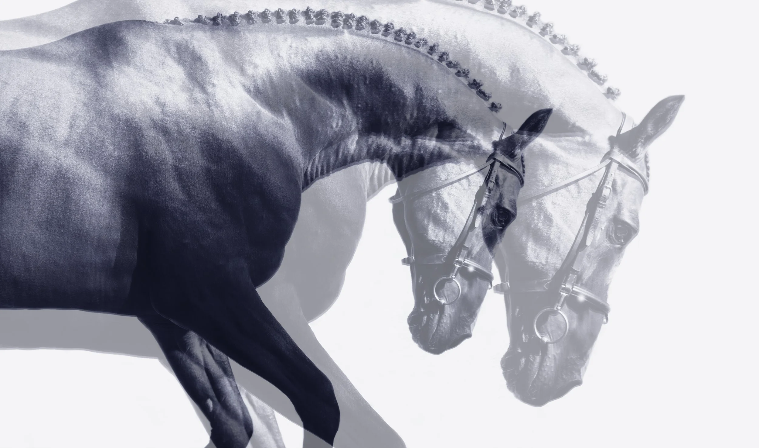 AfterlightImage copy 3.jpg