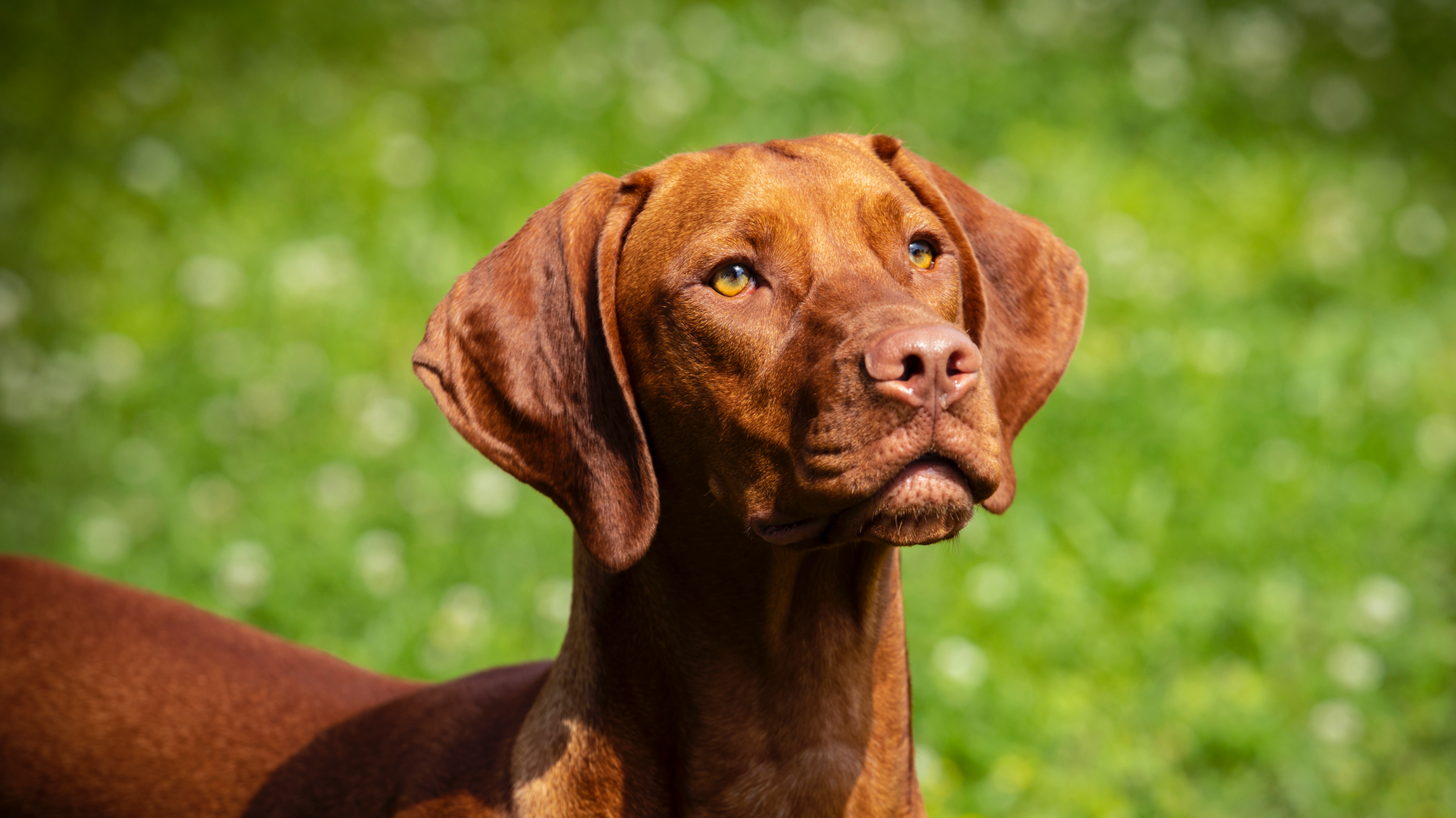 Screen Shot 2021-05-04 at 3.57.10 PM.png