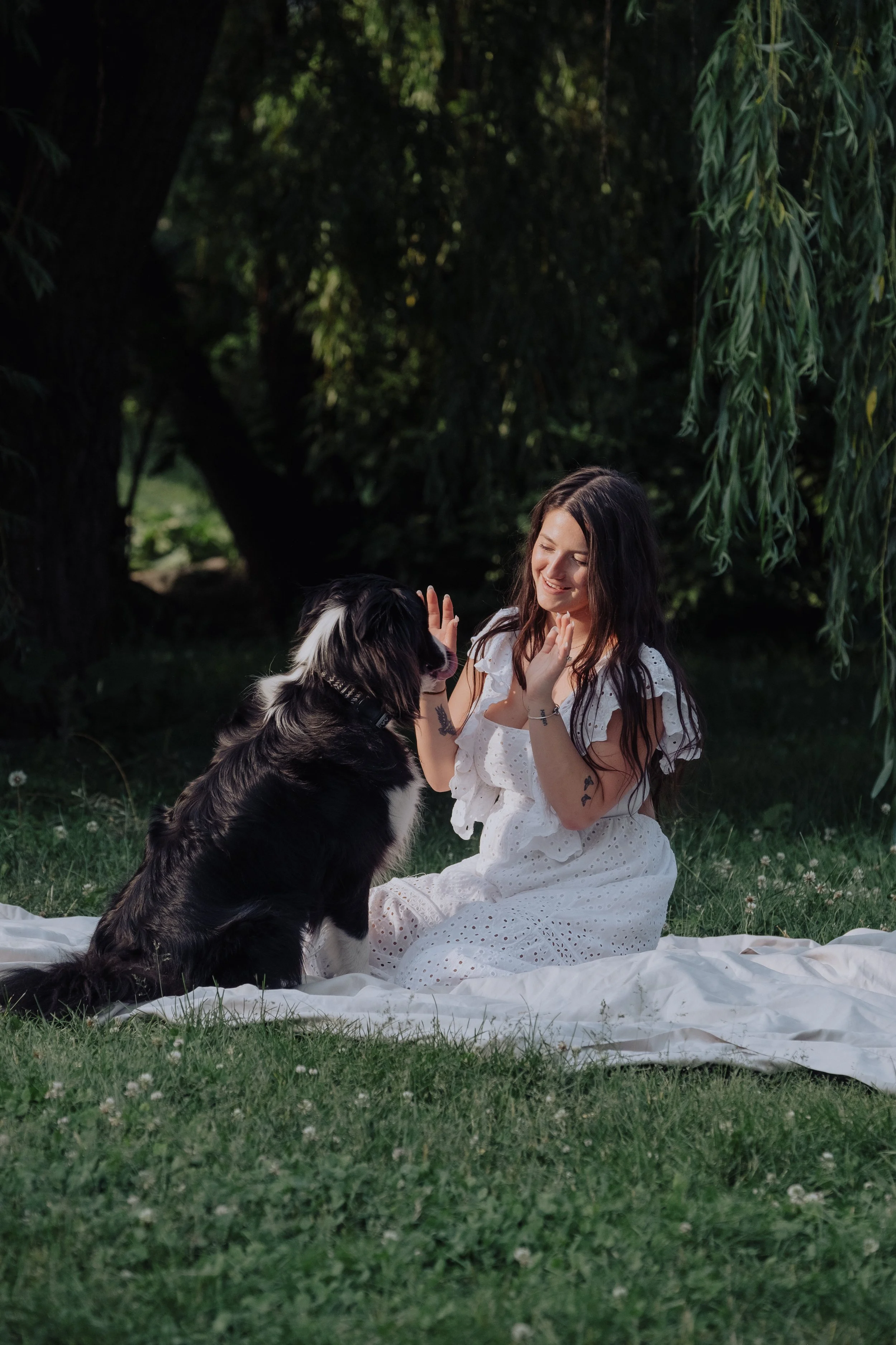 A woman in a white dress playing with a black and white dog on a grassy lawn under hanging tree branches.