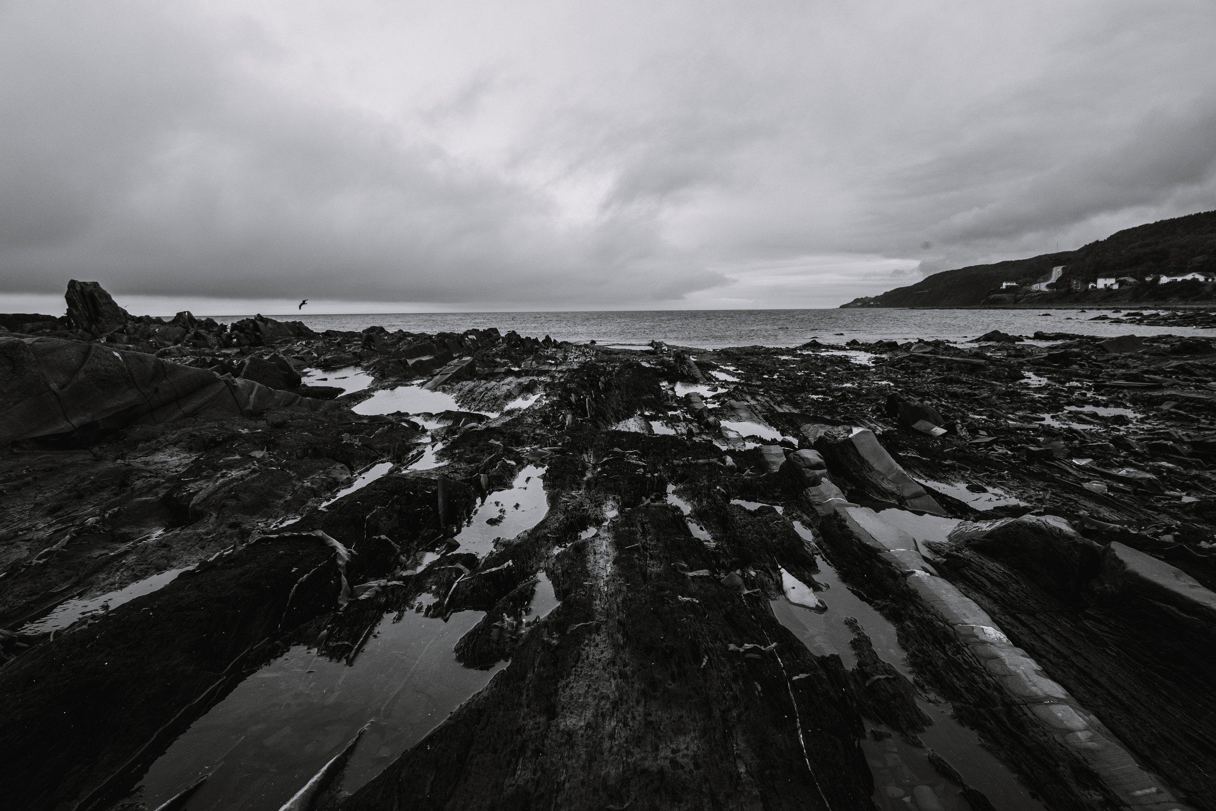 Black and white photograph of a rocky shoreline with tide pools and calm ocean in the background, cloudy sky overhead, distant land on the right