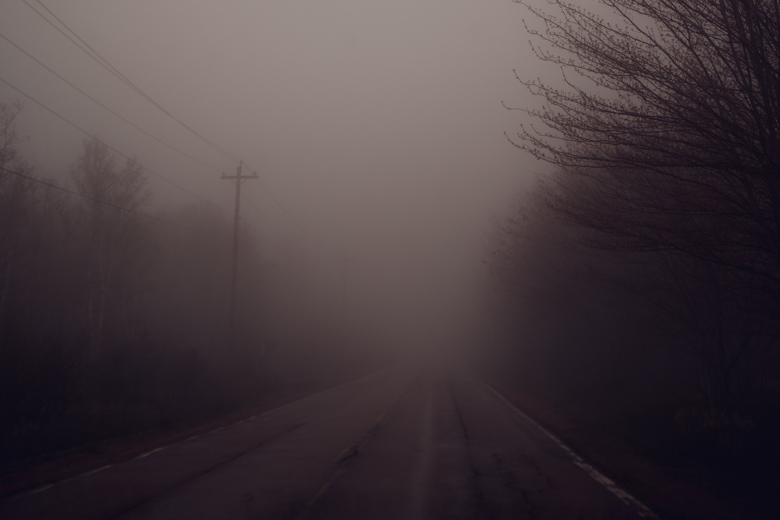 A foggy rural road with trees on the sides and power lines overhead, visibility is low due to thick fog.