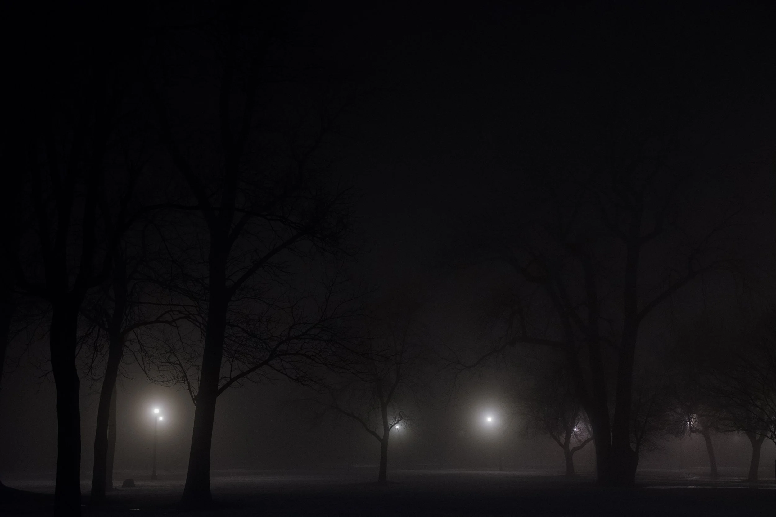 A foggy park scene at night with silhouetted trees and three streetlights illuminating the fog.