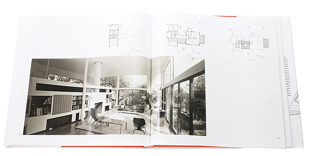DONALD OLSEN: ARCHITECT OF HABITABLE ABSTRACTIONS