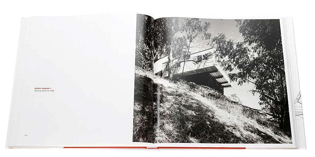 DONALD OLSEN: ARCHITECT OF HABITABLE ABSTRACTIONS
