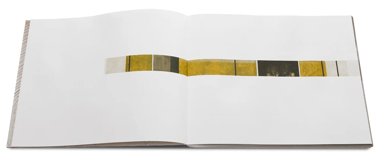 SITE AND SENSES: THE ARCHITECTURE OF AIDLIN DARLING DESIGN