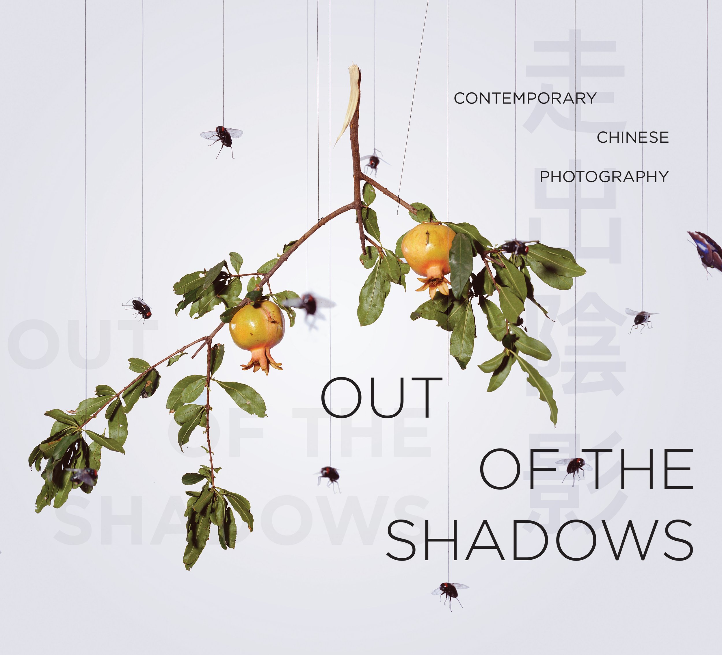 Out of the Shadows: Contemporary Chinese Photography