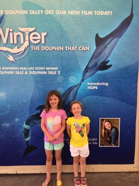 dolphin tale