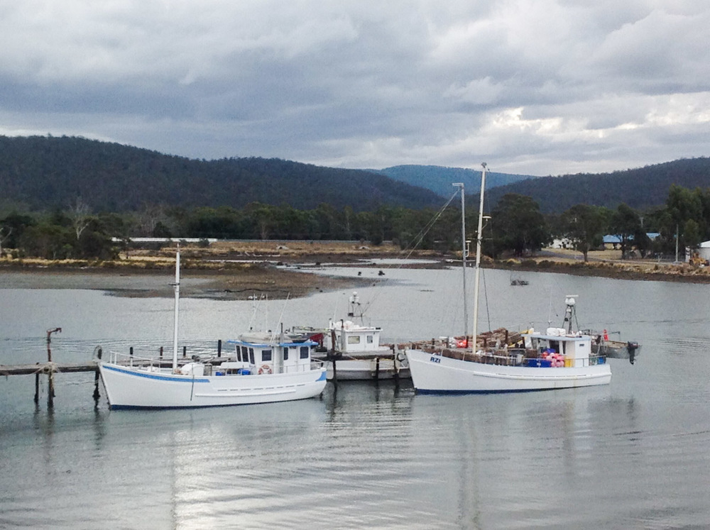 Triabunna-60.jpg