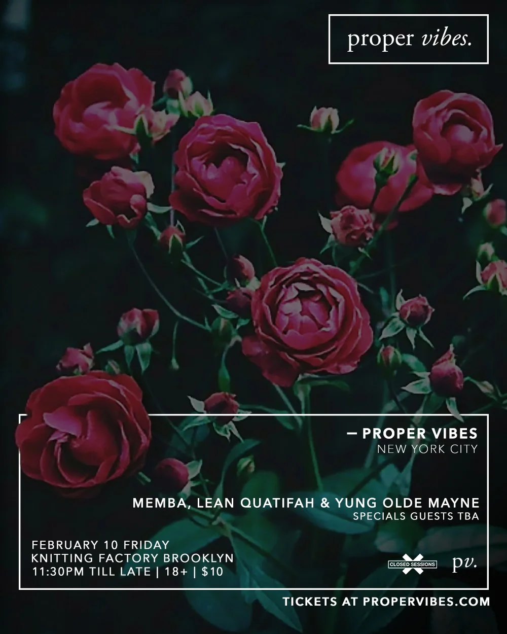 Proper Vibes Flyer Knit.jpg