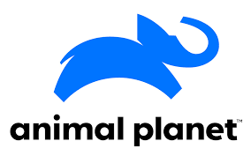 Animal Planet network logo