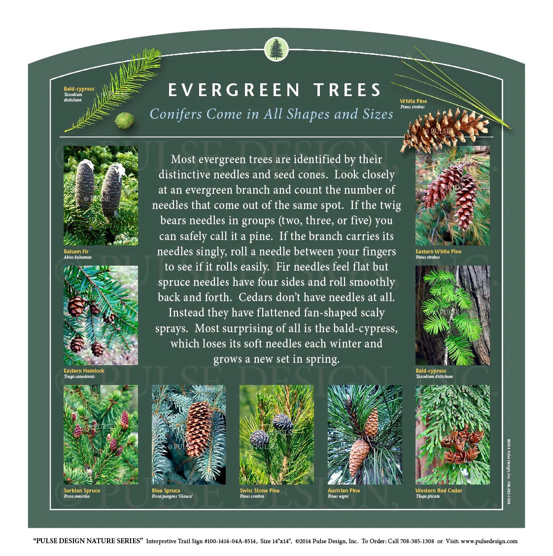 PDNS Plant Species Invasive Poisonous Native Plant Identification Guides Outdoor Interpretive