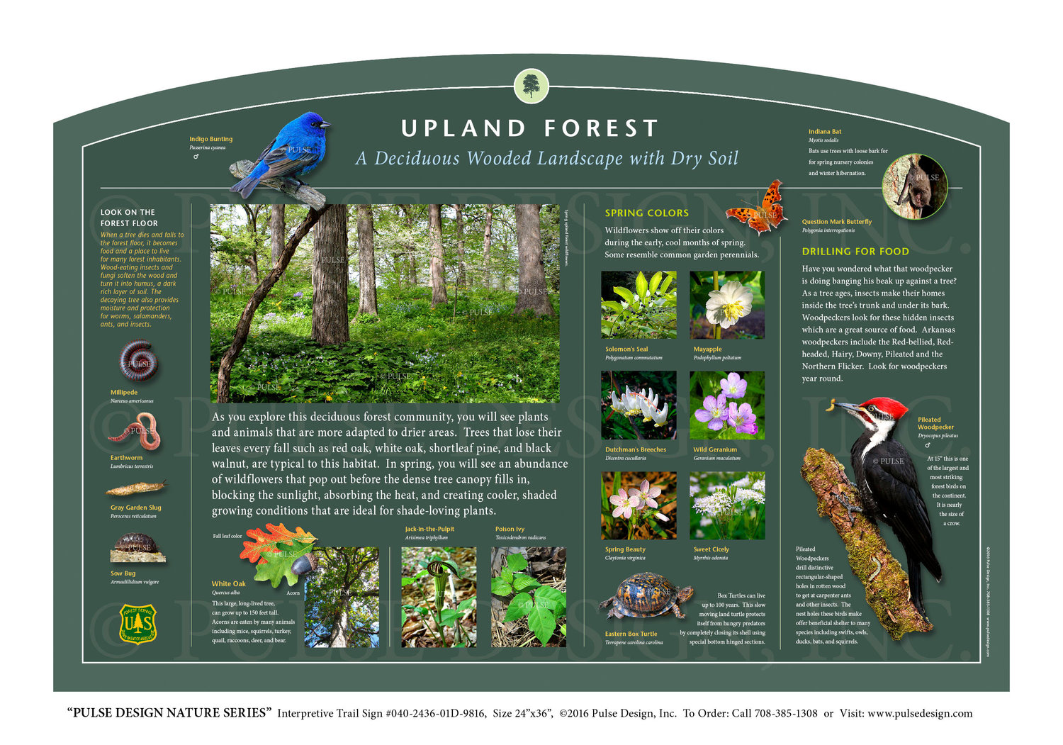 Outdoor Interpretive Signs Forest Woodland Habitat Ecosystem Conservation —  Pulse Design Outdoor Interpretive Signs