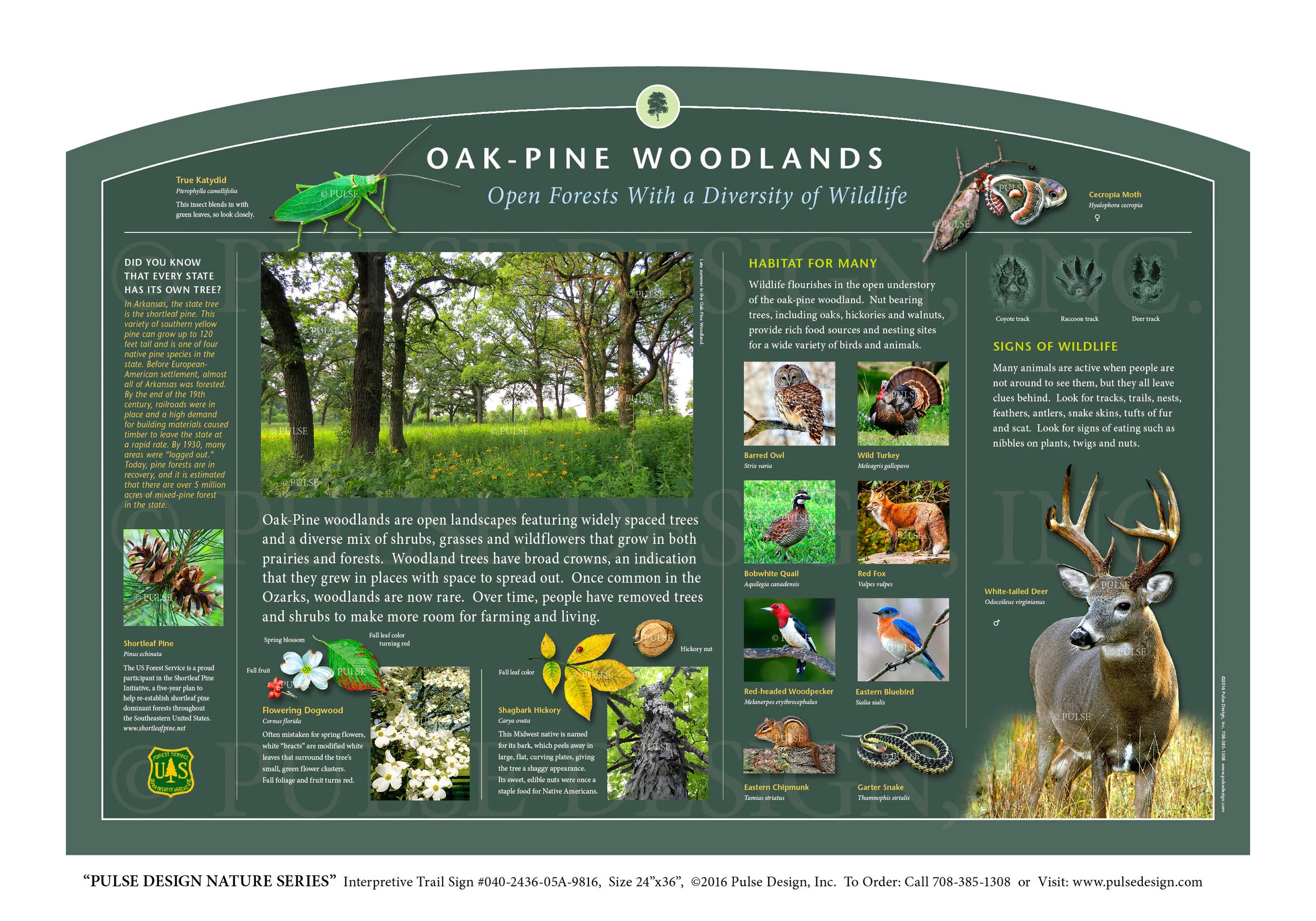Outdoor Interpretive Nature Trail Sign in Forest & Woodlands Habitat