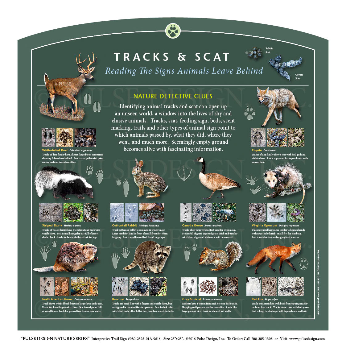 Outdoor Interpretive Nature Trail Sign in Animals & Wildlife Series: Animal  Tracks & Scat Identification, Reading The Signs Animals Leave Behind  #080-2525-01A-9616 — Pulse Design Outdoor Interpretive Signs