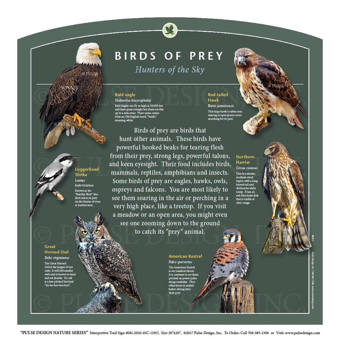 Red Tailed Hawk News Pulse Design Outdoor Interpretive Signs