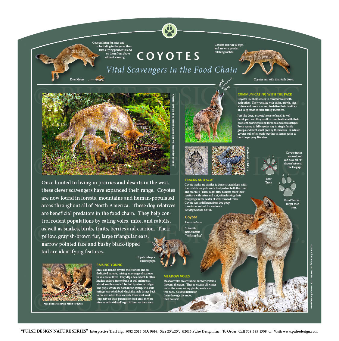 Outdoor Interpretive Nature Trail Sign in Animals & Wildlife Series:  Coyotes, Vital Scavengers in the Food Chain #082-2525-03A-9616 — Pulse  Design Outdoor Interpretive Signs