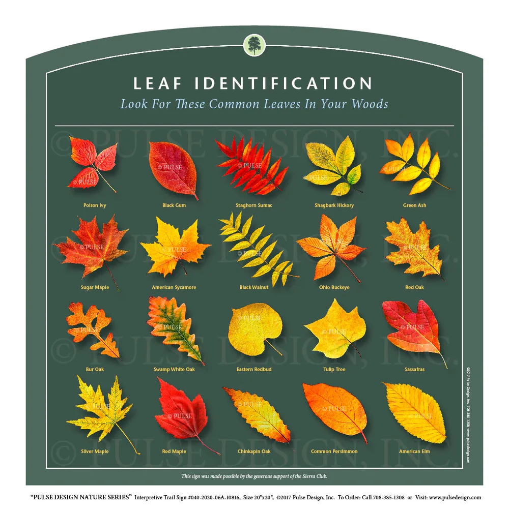 Outdoor Interpretive Nature Trail Sign in Forest & Woodlands Habitat ...