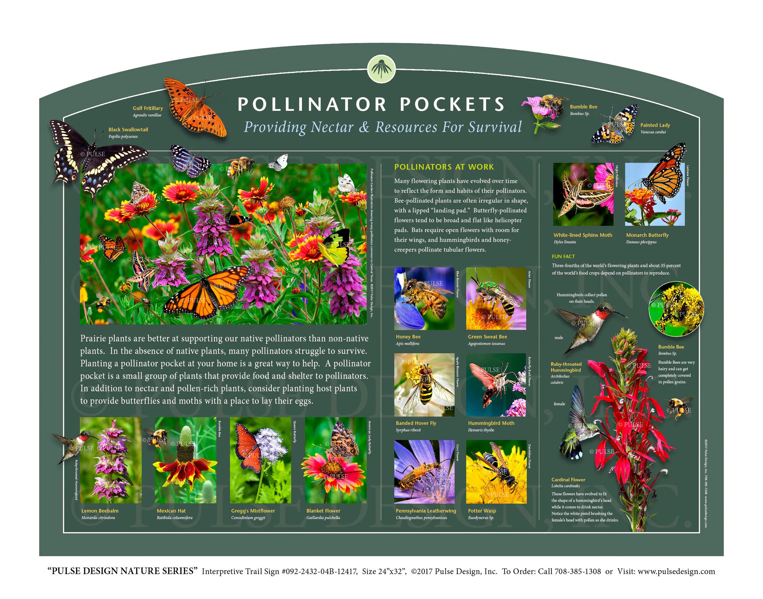 PDNS Pollinator Garden Monarch Butterfly Bee Habitat Outdoor