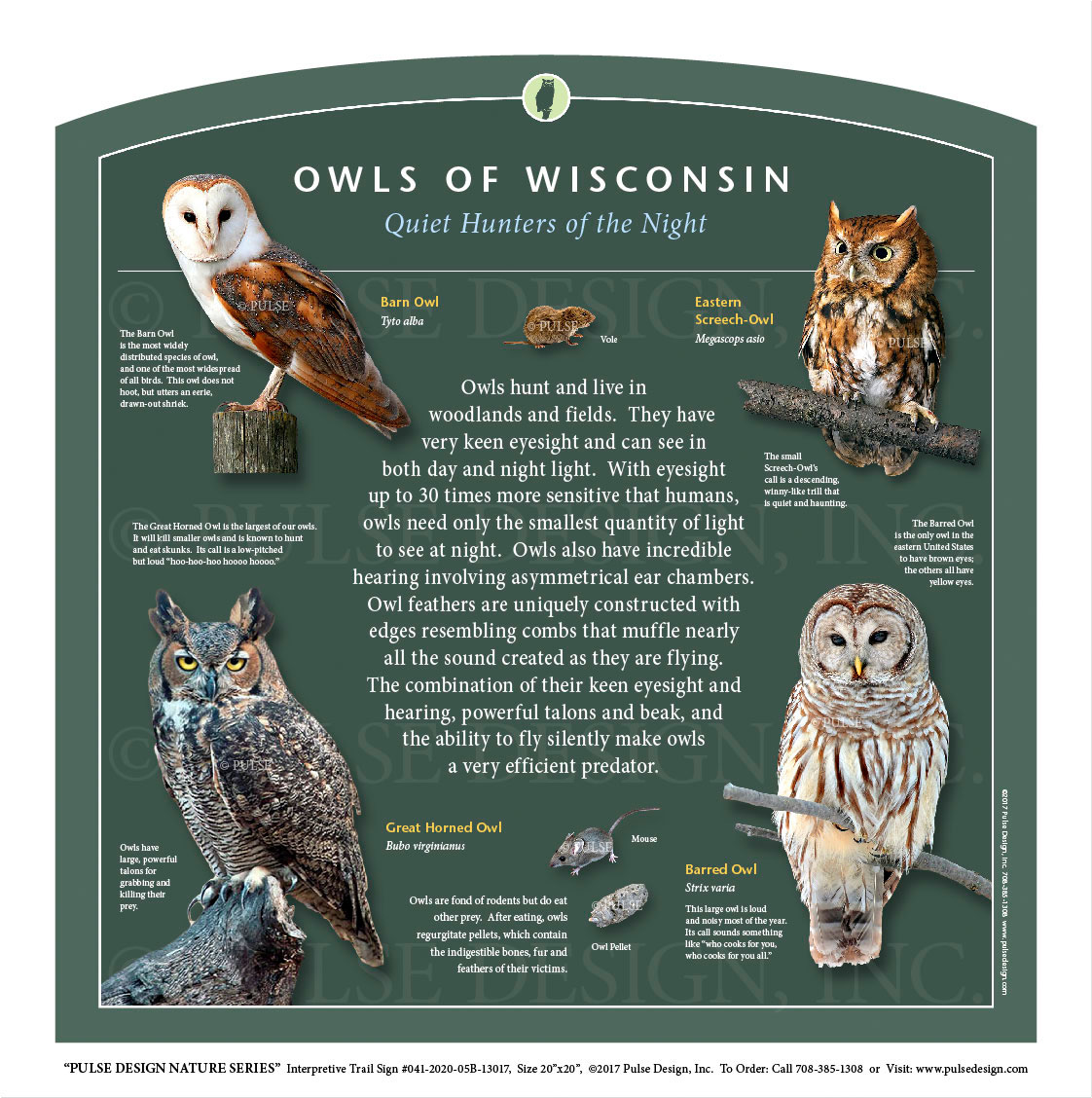 Birds of Prey of the Midwest