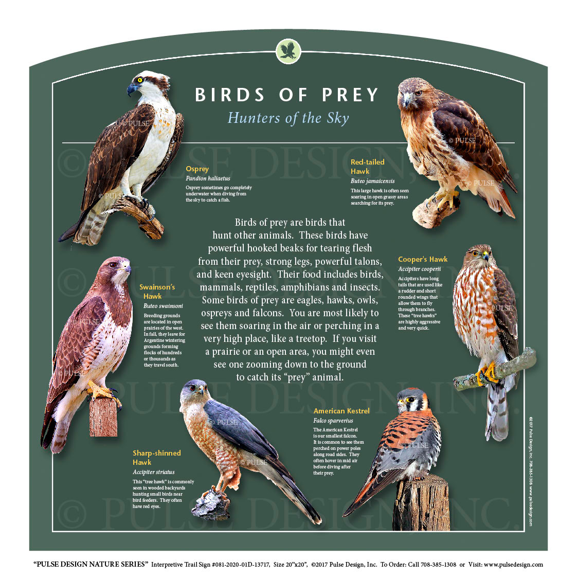 Outdoor Interpretive Nature Trail Sign in Birds of Prey & Raptor Series:  Birds of Prey; Osprey, Hawk, Red-tailed, Swainson's, Cooper's,  Sharp-shinned, Kestrel, #081-2020-01D-13717 — Pulse Design Outdoor  Interpretive Signs
