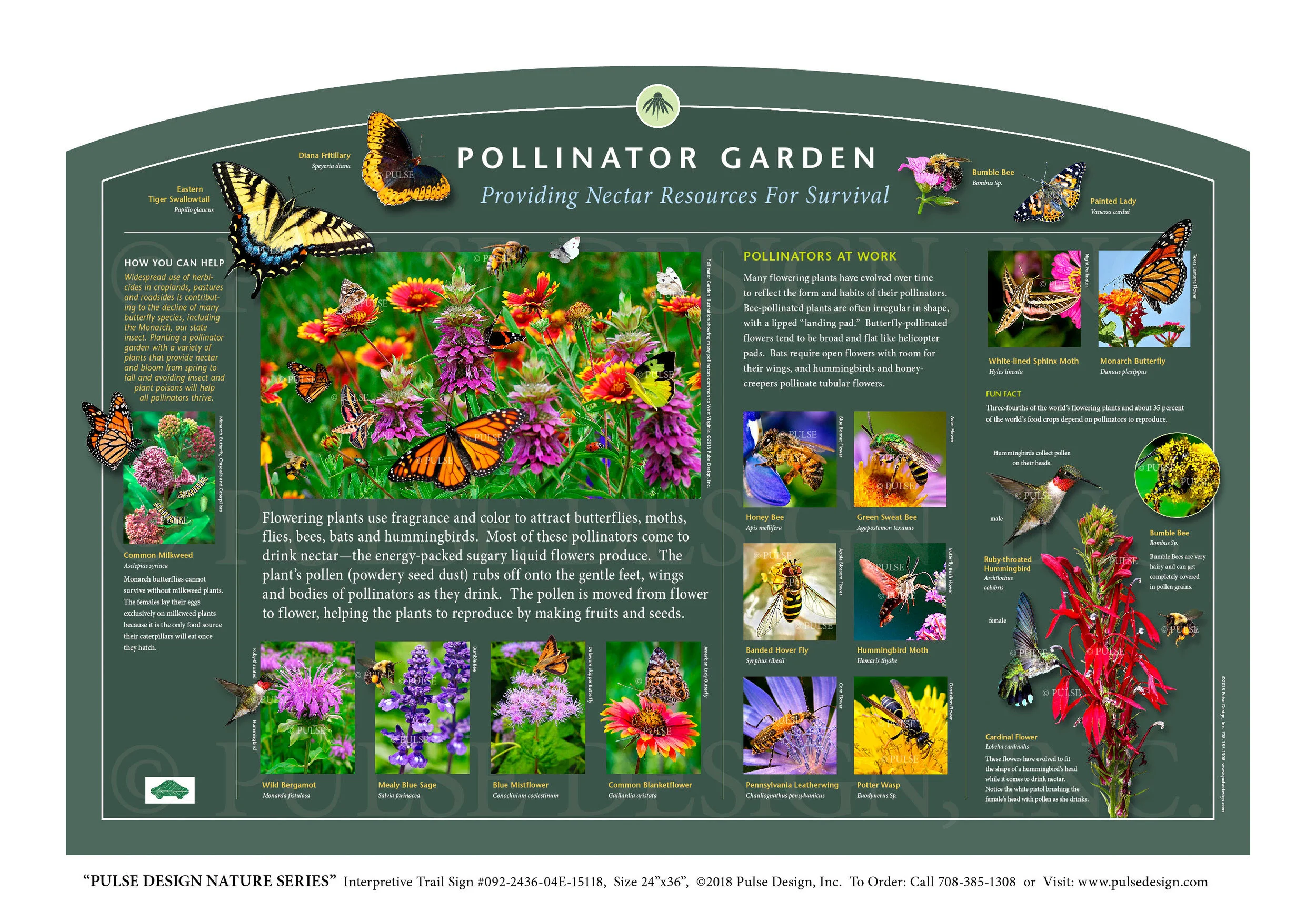Pulse Design provides Outdoor Interpretive Nature Trail Signs, Environmental Education Exhibits, Graphic Display Panels, Wayfinding Signage and Monuments, focused on Wildlife and Habitat throughout the United States. The PULSE DESIGN NATURE SERIES is a beautiful, "Ready-to-Order" and "Customizable" series of interpretive trail signs that cover many common nature subjects. See more signs from our INSECTS & POLLINATOR SIGNS SERIES .