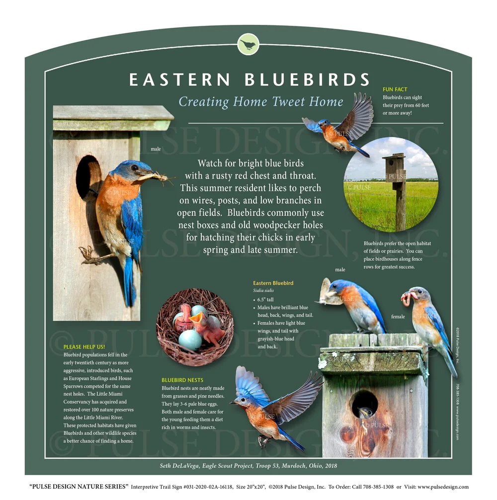 How Birds Choose Habitats: Secrets to Their Perfect Homes