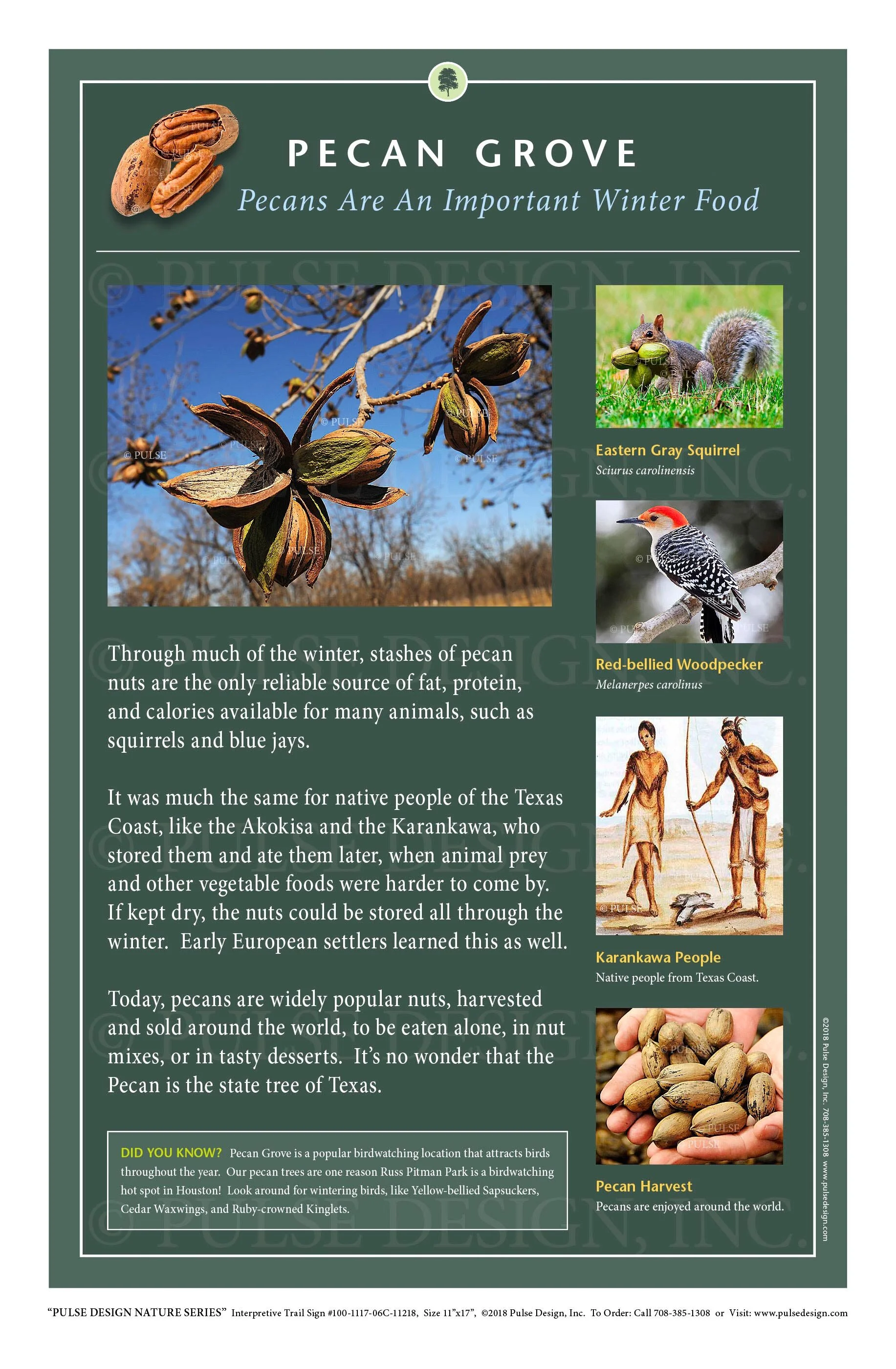ke outdoor design on Pdns Tree And Leaf Identification Guide Parts Of Tree Anatomy Outdoor Interpretive Signs Pulse Design Outdoor Interpretive Signs