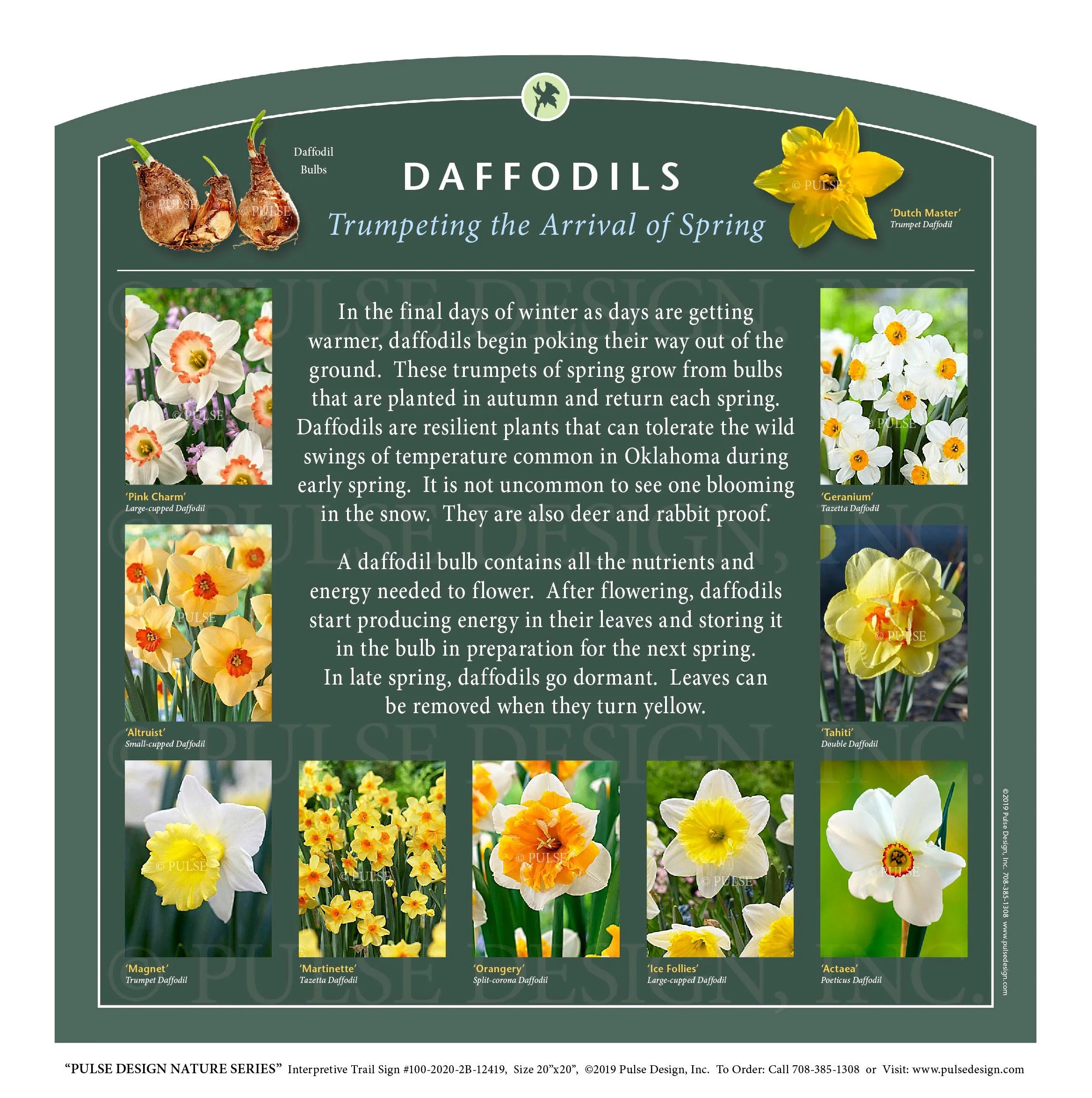 Outdoor Interpretive Signs Botanic Garden Arboretum Plant Tree ID