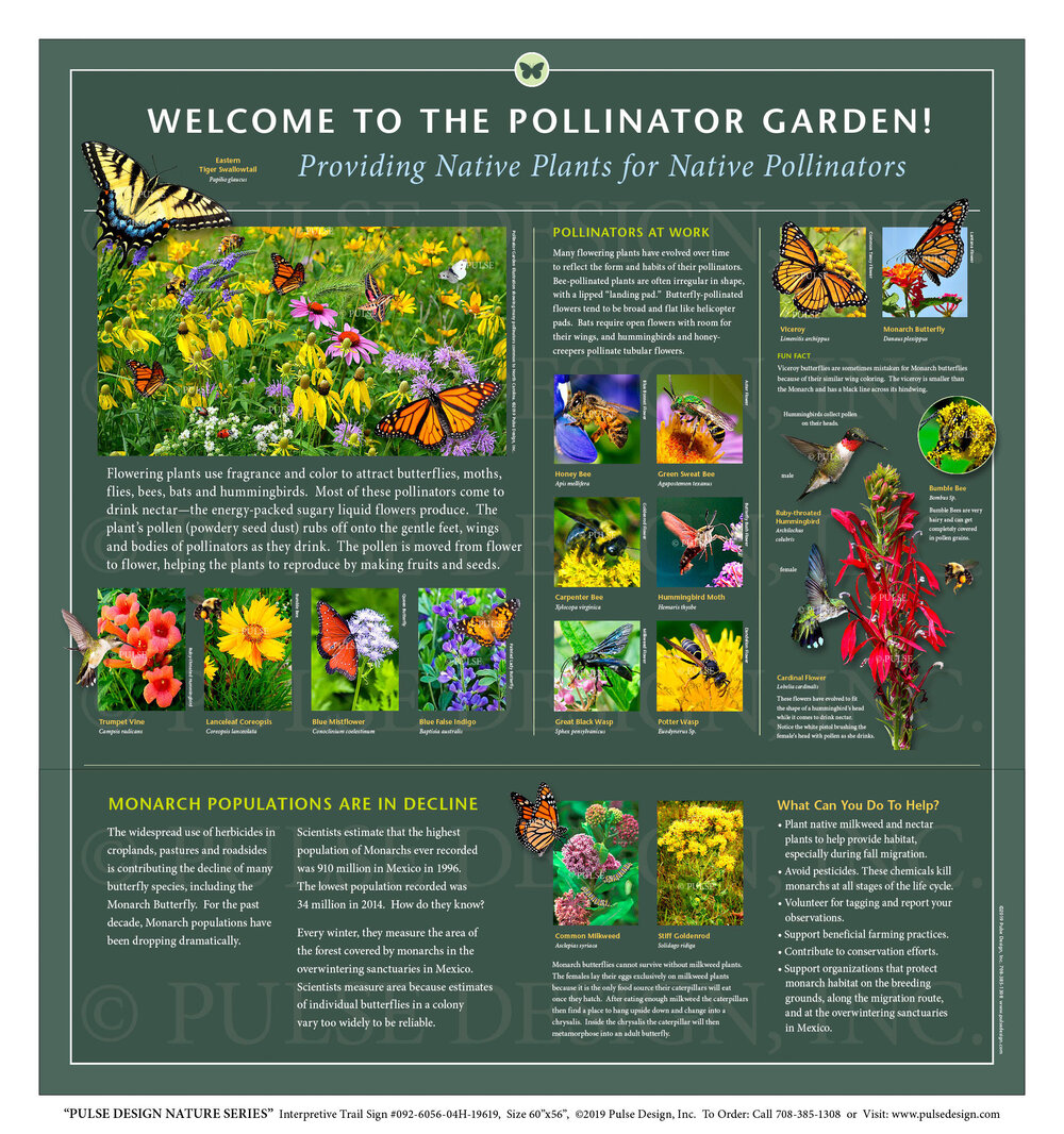 Outdoor Interpretive Signs Pollinator Garden Insects Monarch