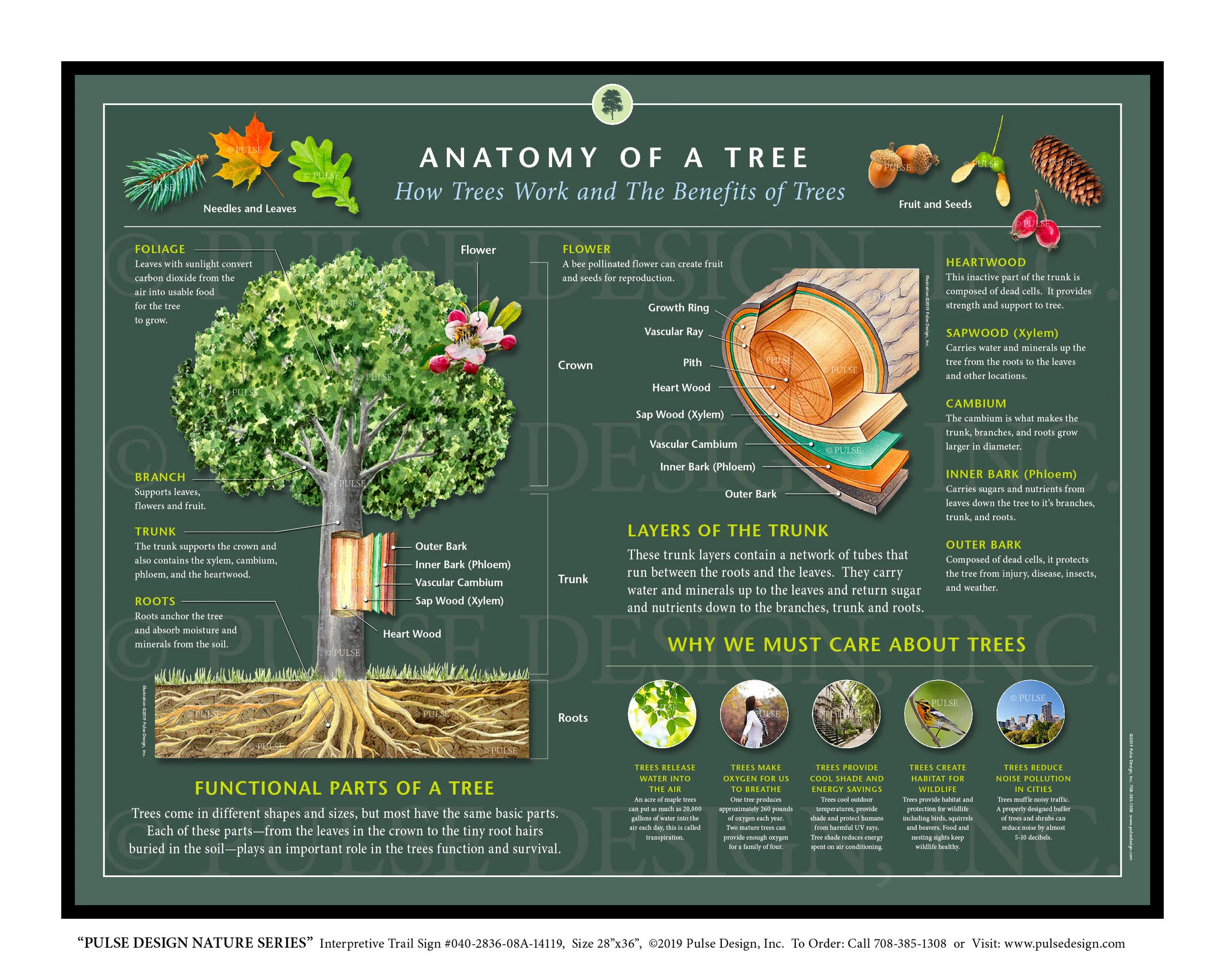 Label Tree Anatomy