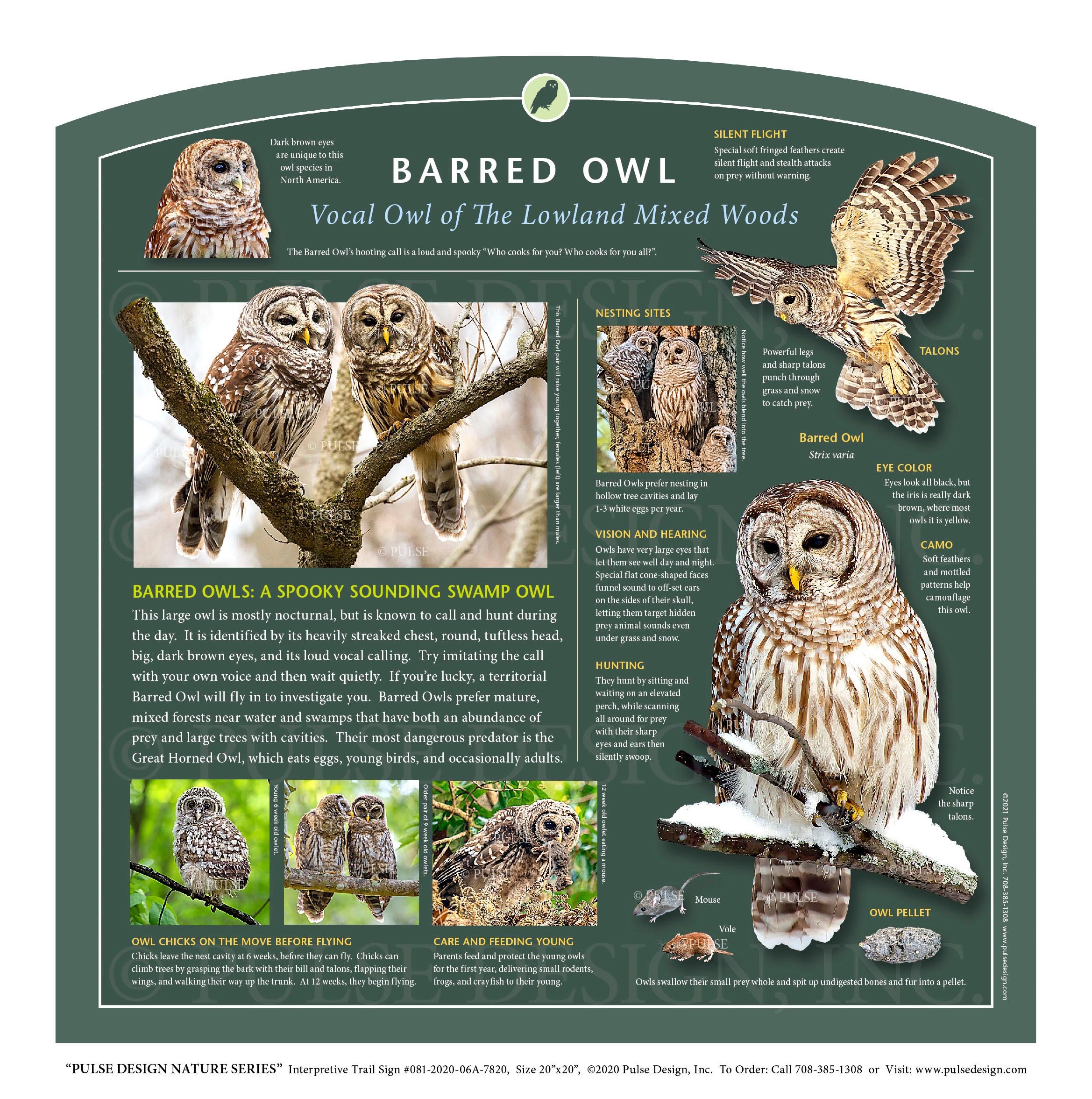 Outdoor Interpretive Sign: Birds of Prey, Guide, Bald Eagle, Osprey,  Red-tailed Hawk, Kestrel, Turkey Vulture, Great Horned Owl, in Birds of Prey  & Raptors Series: #081-2020-01F-16118 — Pulse Design Outdoor Interpretive  Signs