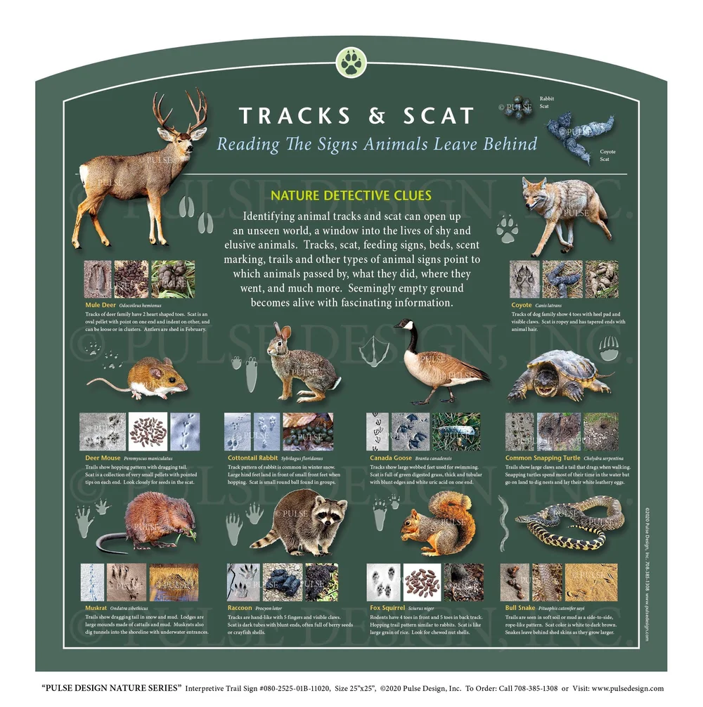 Zoo Animal Identification Signs