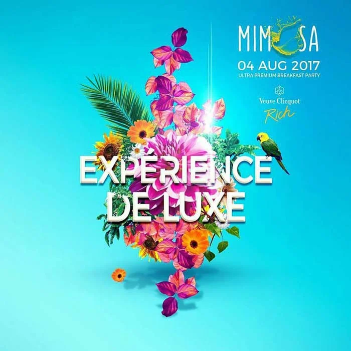 Mimosa Experience 2017 #bazoSPOTLIGHT