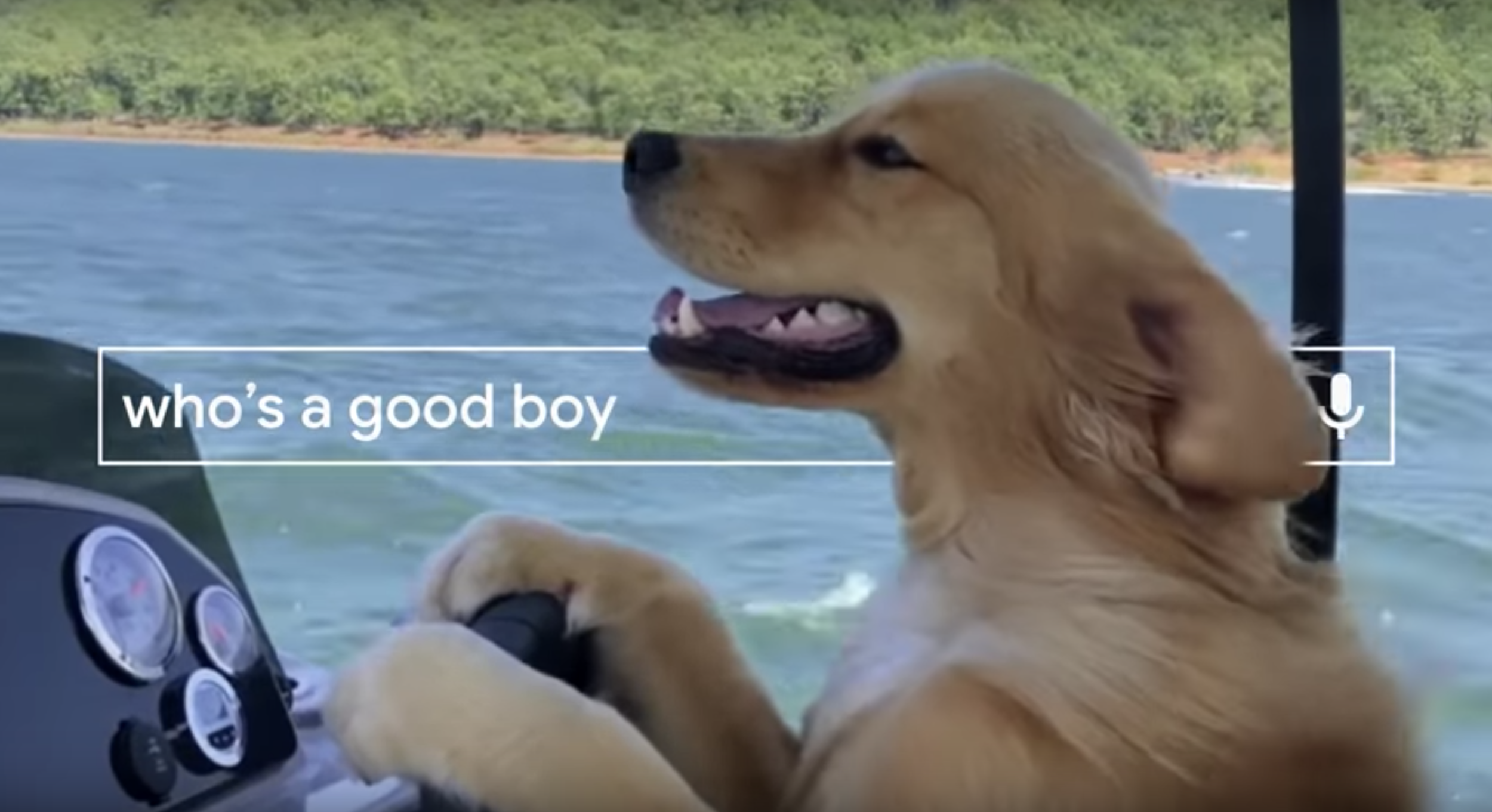 Screen Shot 2018-12-31 at 2.02.21 PM.png