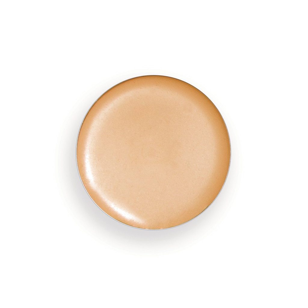 the-organic-skin-co-hide-and-seek-concealer-refill-for-palatte-cosmetics-face-the-organic-skin-co-caramel-417476_1024x1024.jpg