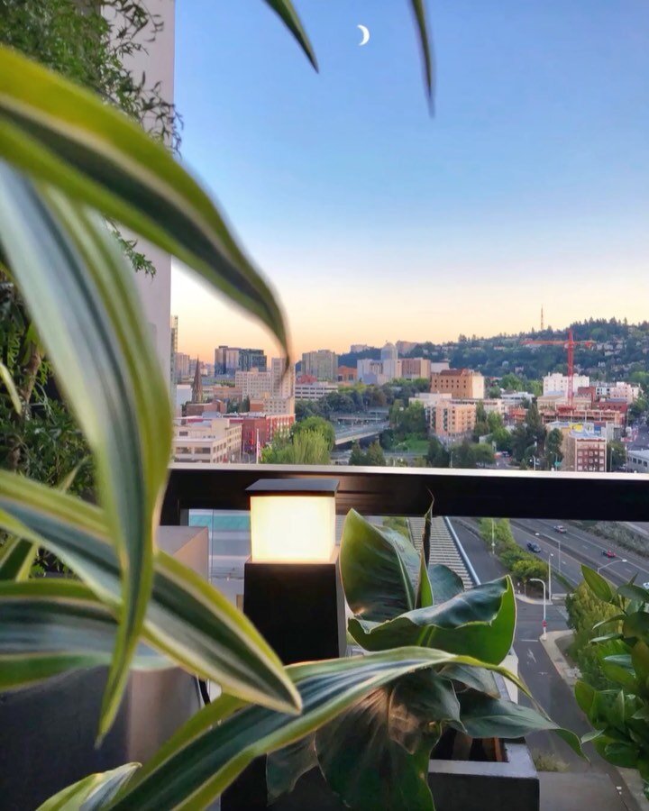 I had no idea smart outdoor lighting was even a thing, however I could not be more thrilled with how these @villanerilight Smart Outdoor Lights have transformed my balcony into an extension of my living room. 
&mdash;&mdash;&mdash;&mdash;&mdash;&mdas