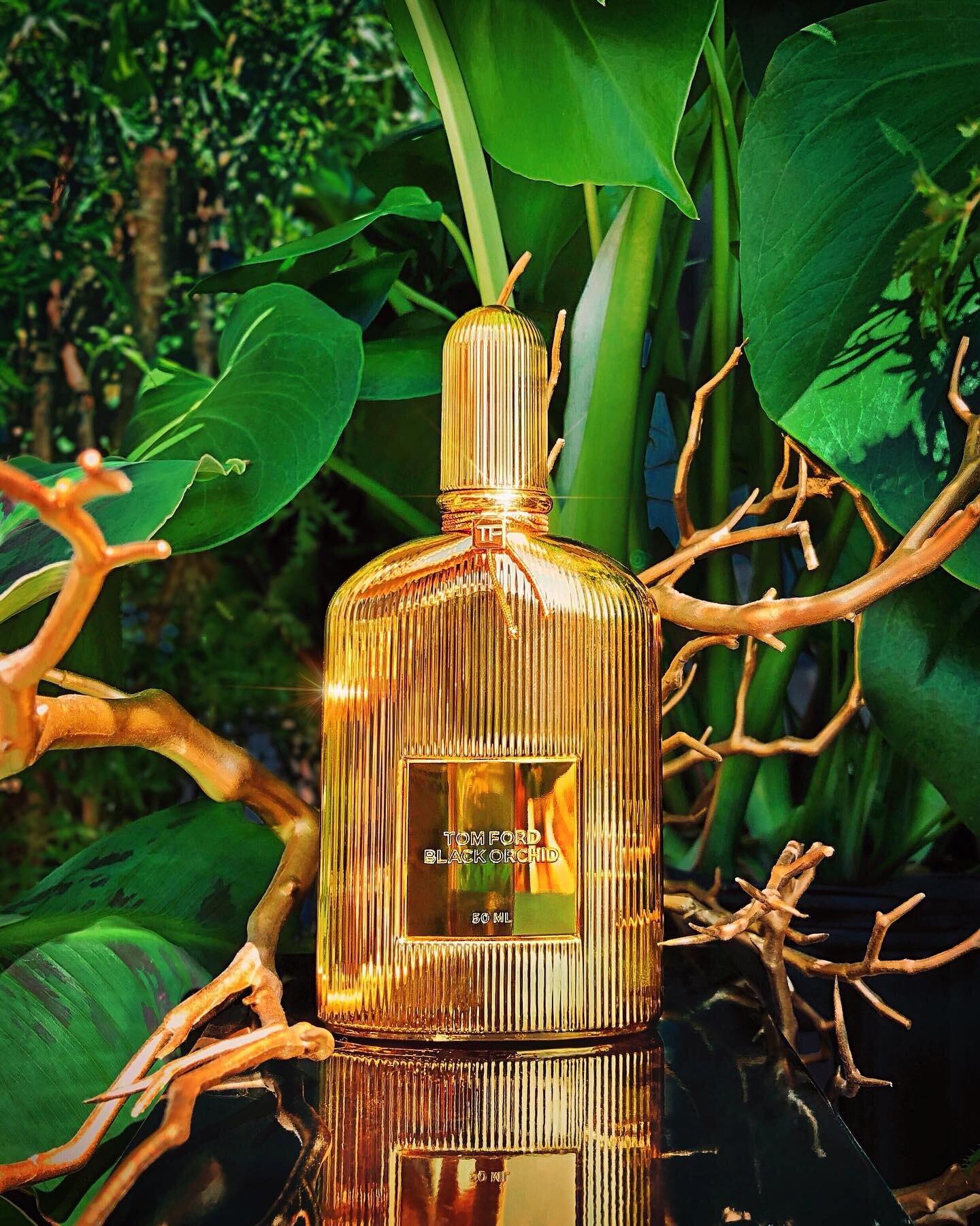 To emulate the beautifully repackaged @TomFordBeauty Black Orchid Perfume (kindly gifted by the brand), I stylized the bottle in a forest of lush jungle plants that I picked up at the @PortlandNursery set on top of black lacquer boxes from @TheContai