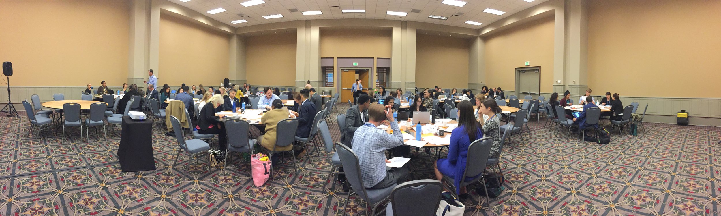 Rio Negro Pulp Mill Simulation Workshop at Net Impact '16 Impact Accelerator