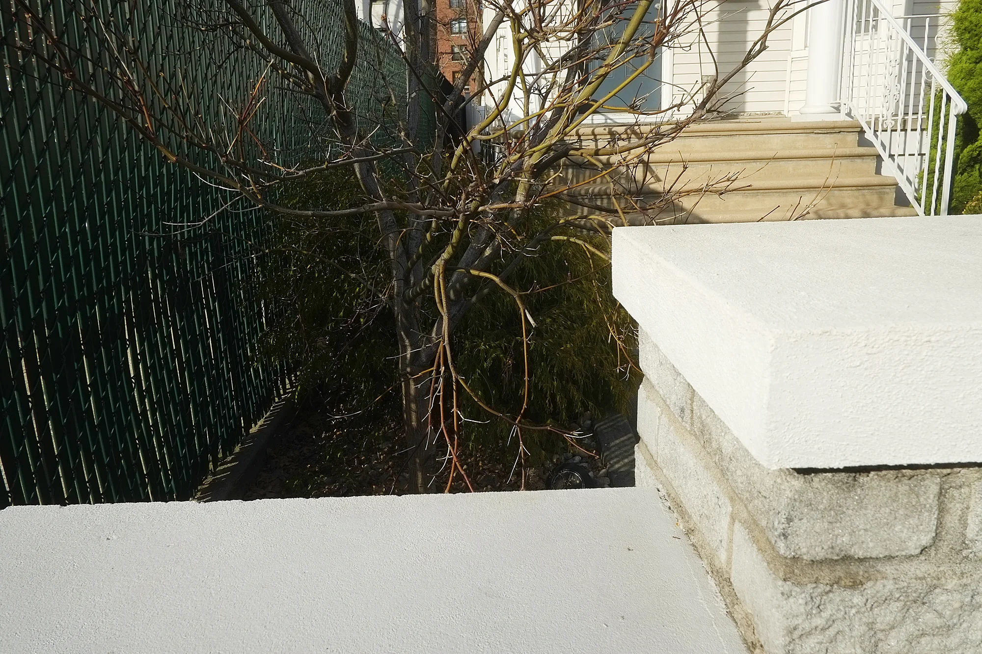 _DSF5723.jpg