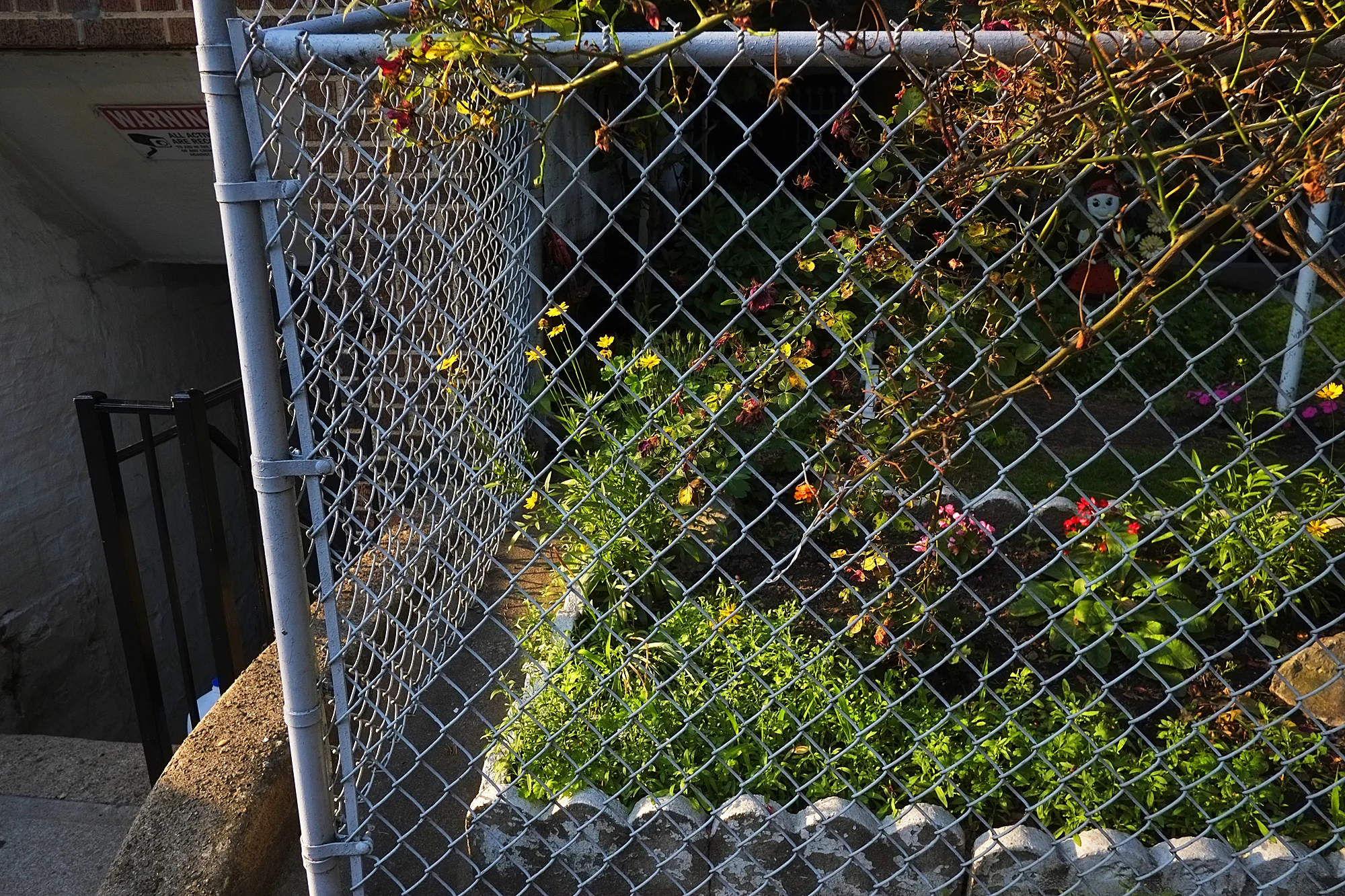 _DSF9883.jpg
