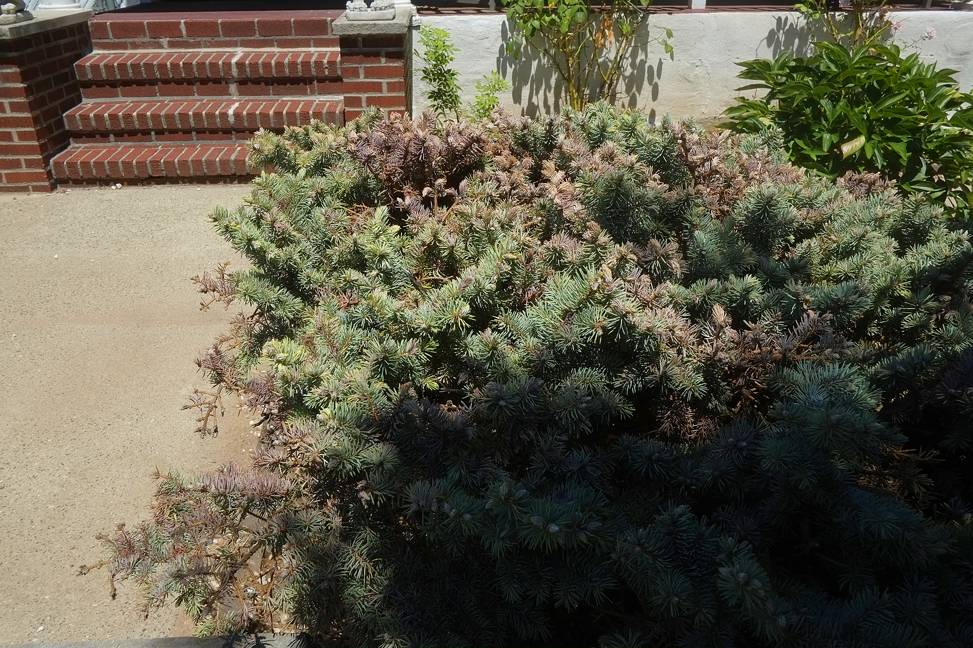 _DSF2523.jpg