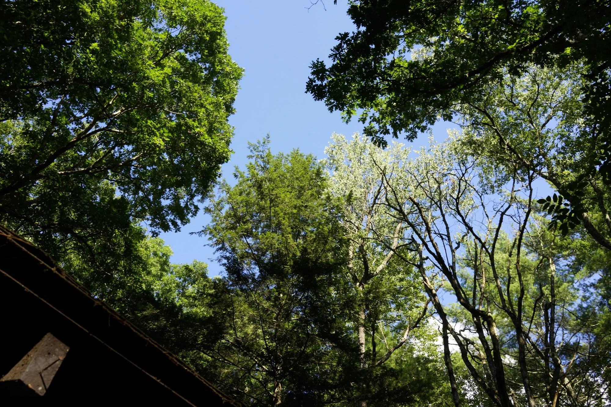 _DSC4502.jpg