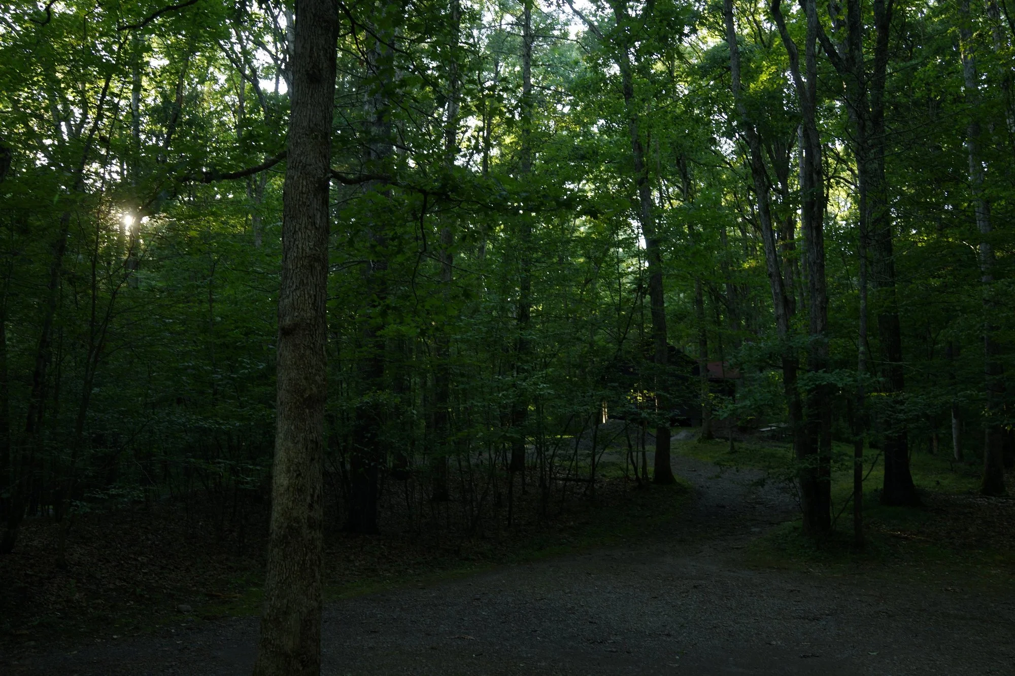 _DSC4528.jpg