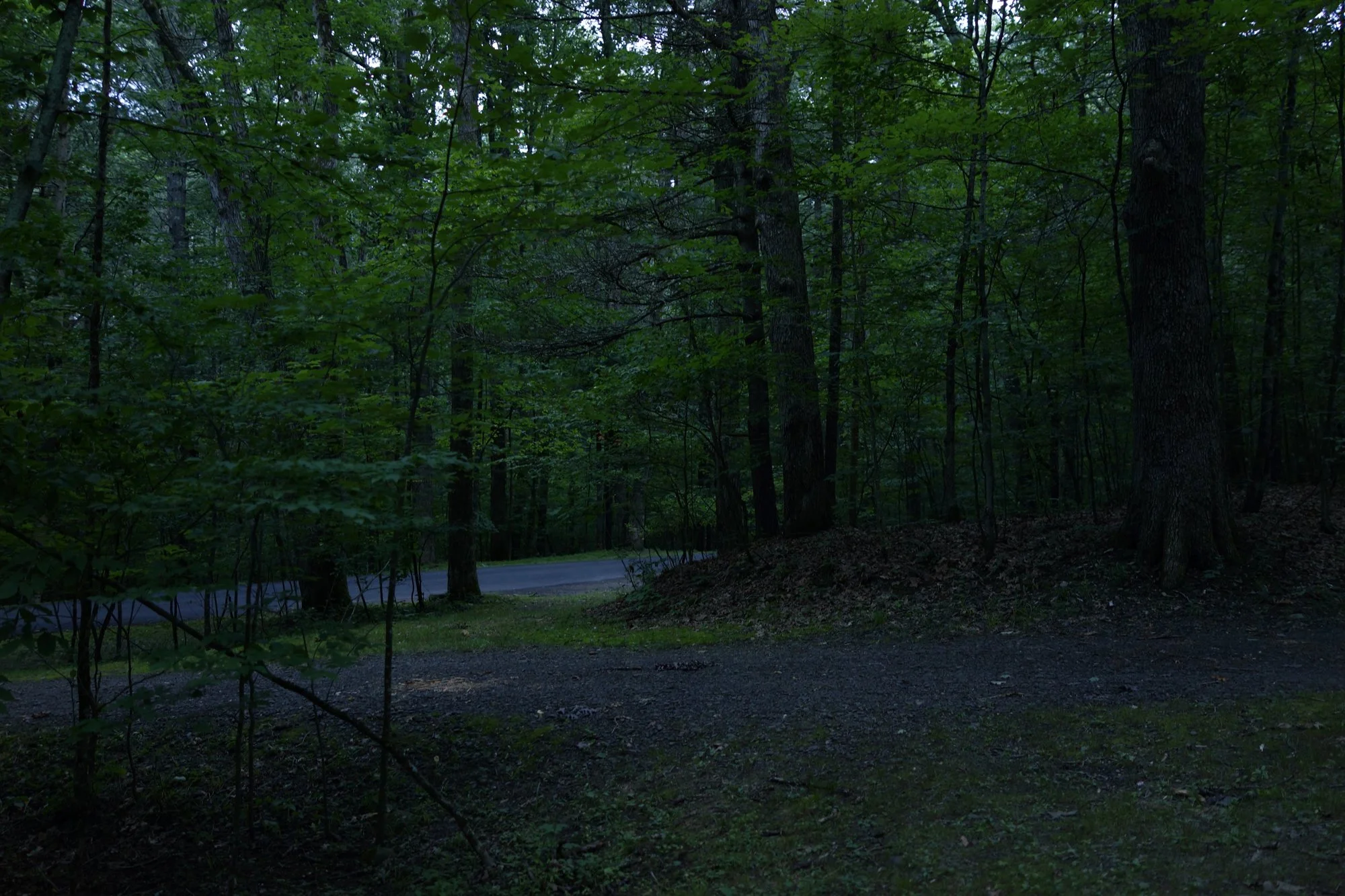 _DSC4599.jpg
