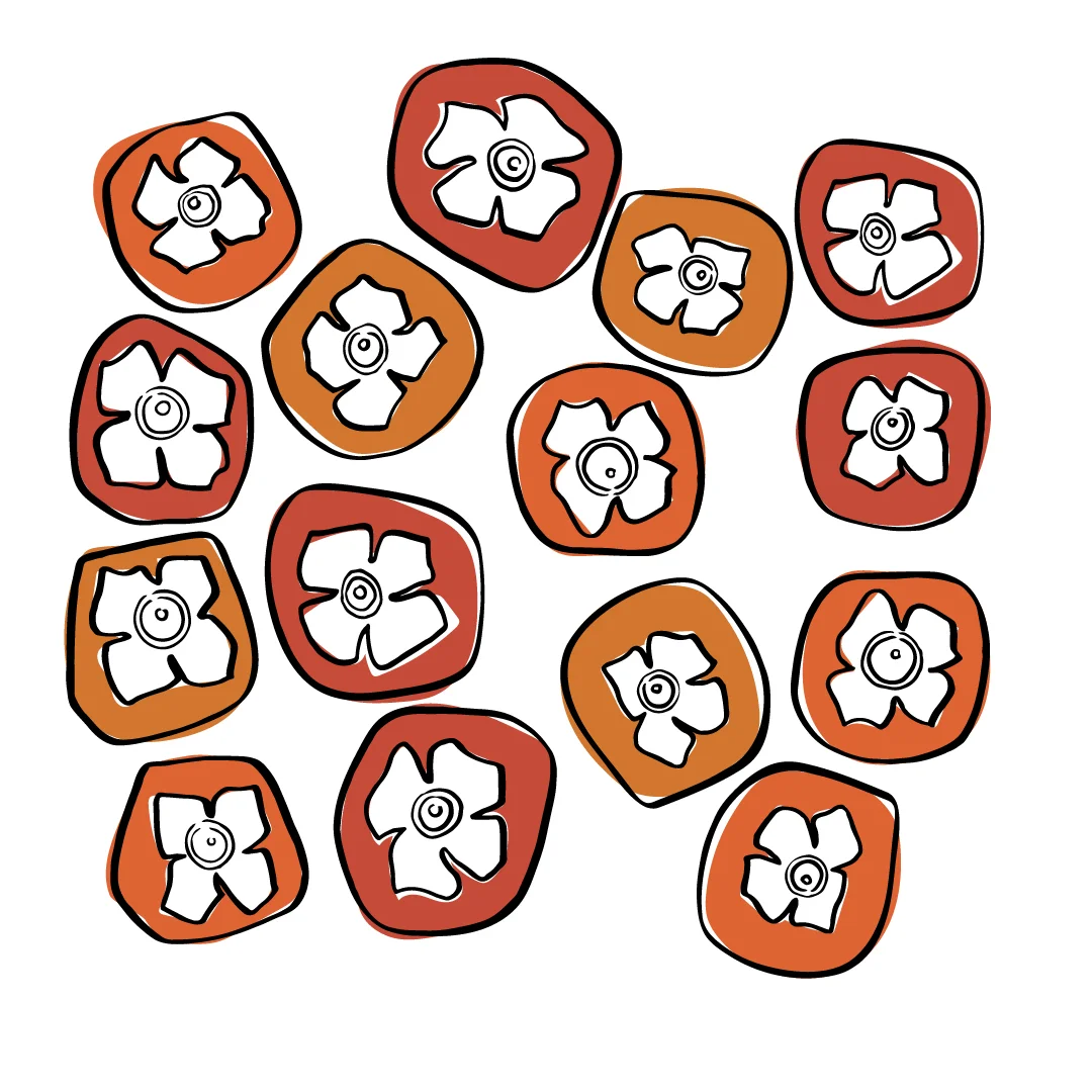 HomePage_ProjectPersimmon.jpg