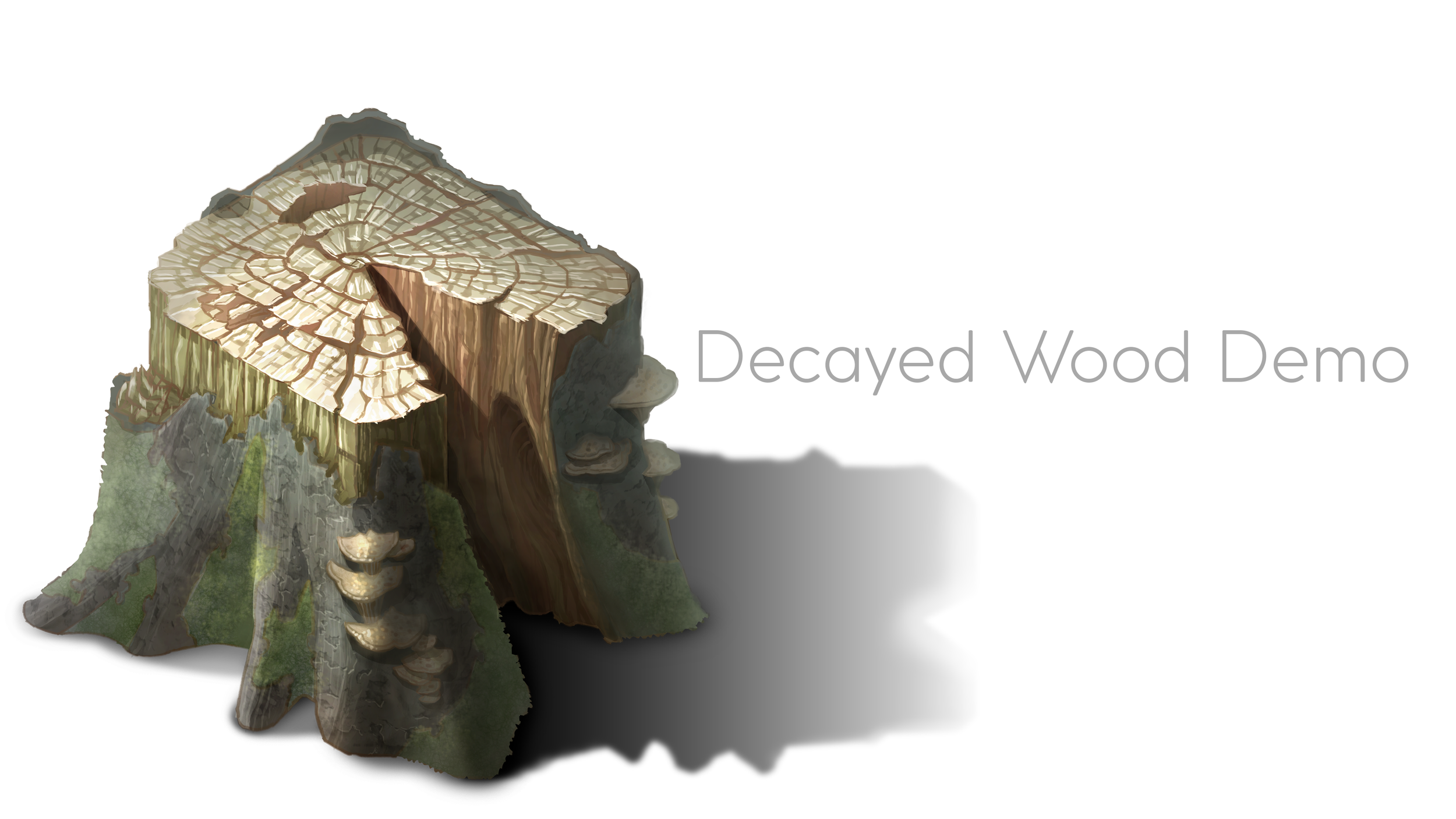 Module04_Decayed-Stump.png