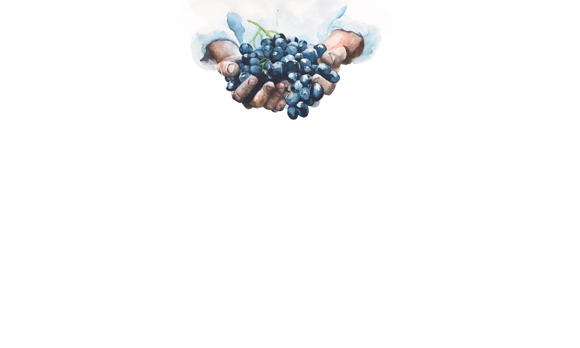Hands Banner_skinny.jpg
